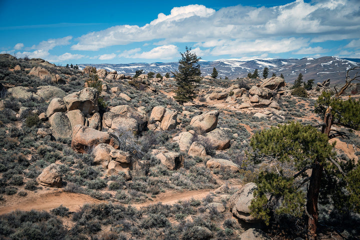Hartman Rocks Recreation Area: Gunnison’s 4×4 Playground
